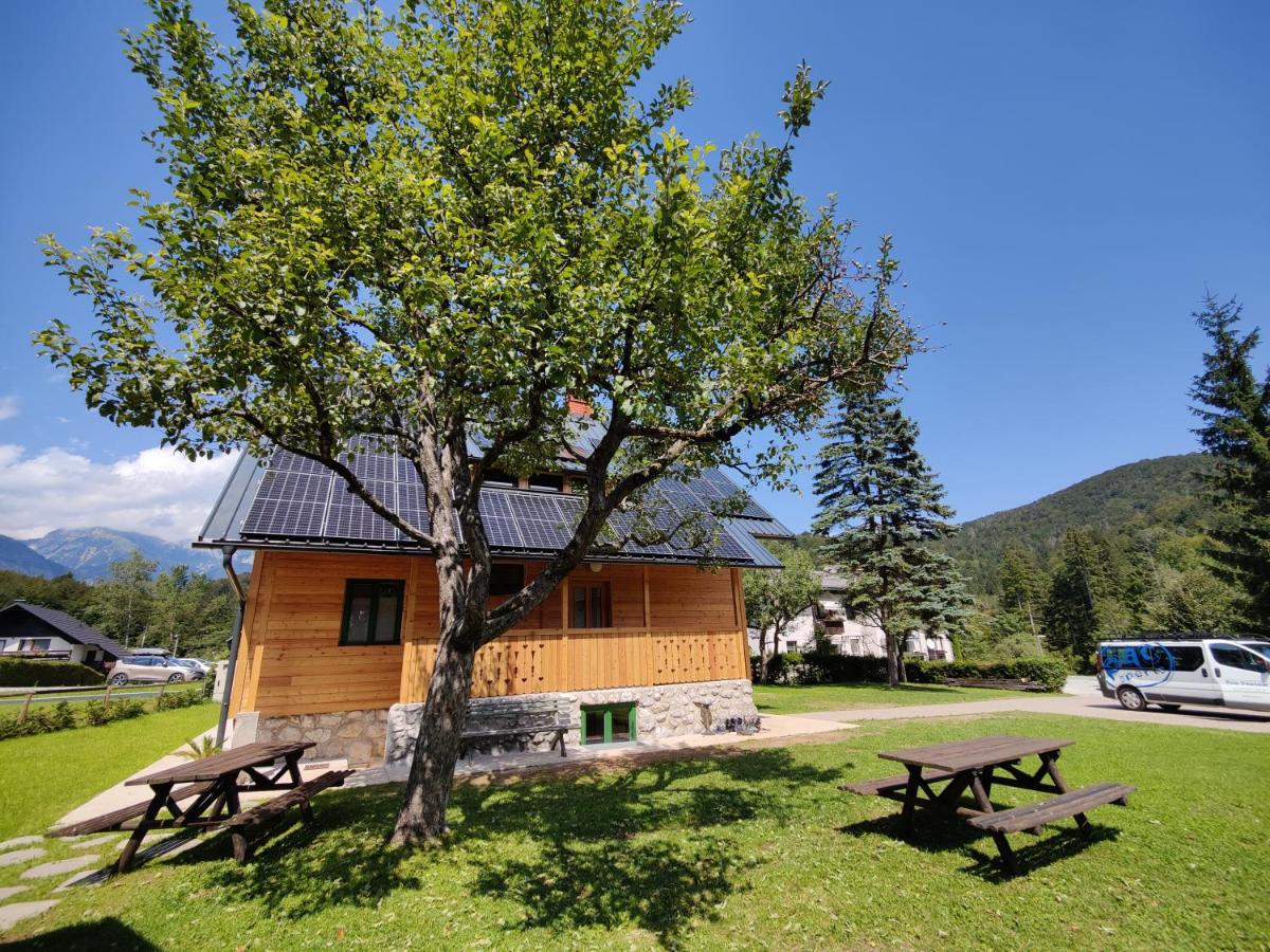 בוהין Cottage Suha מראה חיצוני תמונה